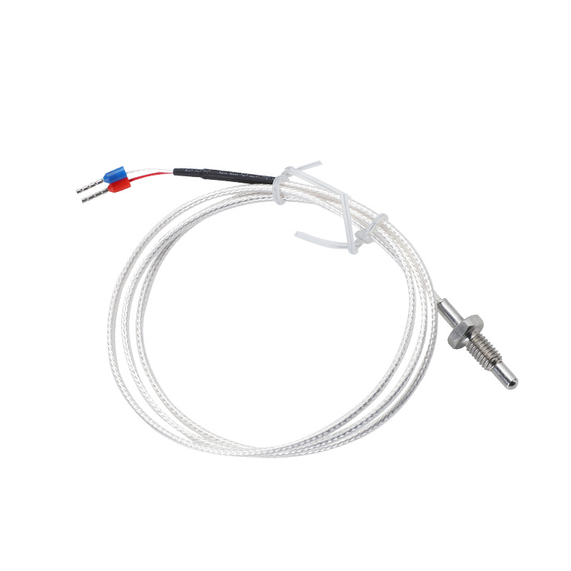Platinum Resistance Temperature Sensor